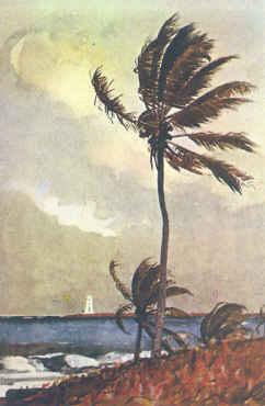 Winslow Homer Palm Tree, Nassau Norge oil painting art